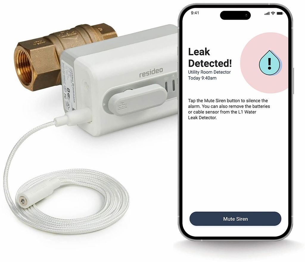 Gallery Image 8 - 3975914