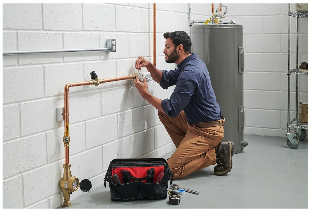 Gallery Image 5 - 3975912