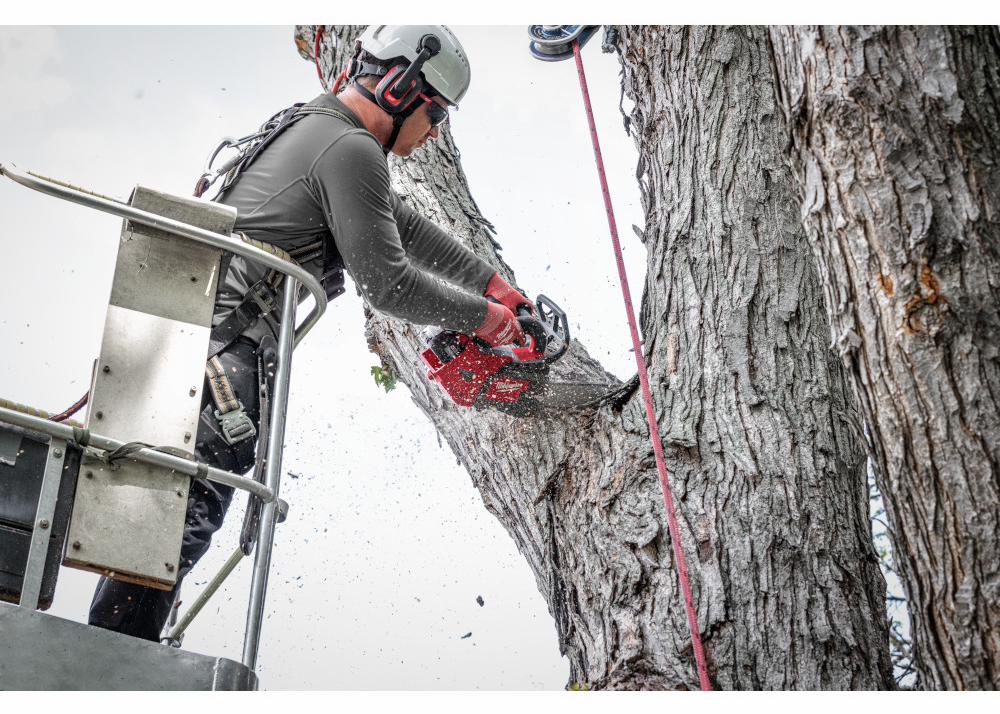 Gallery Image 3 - 4515847