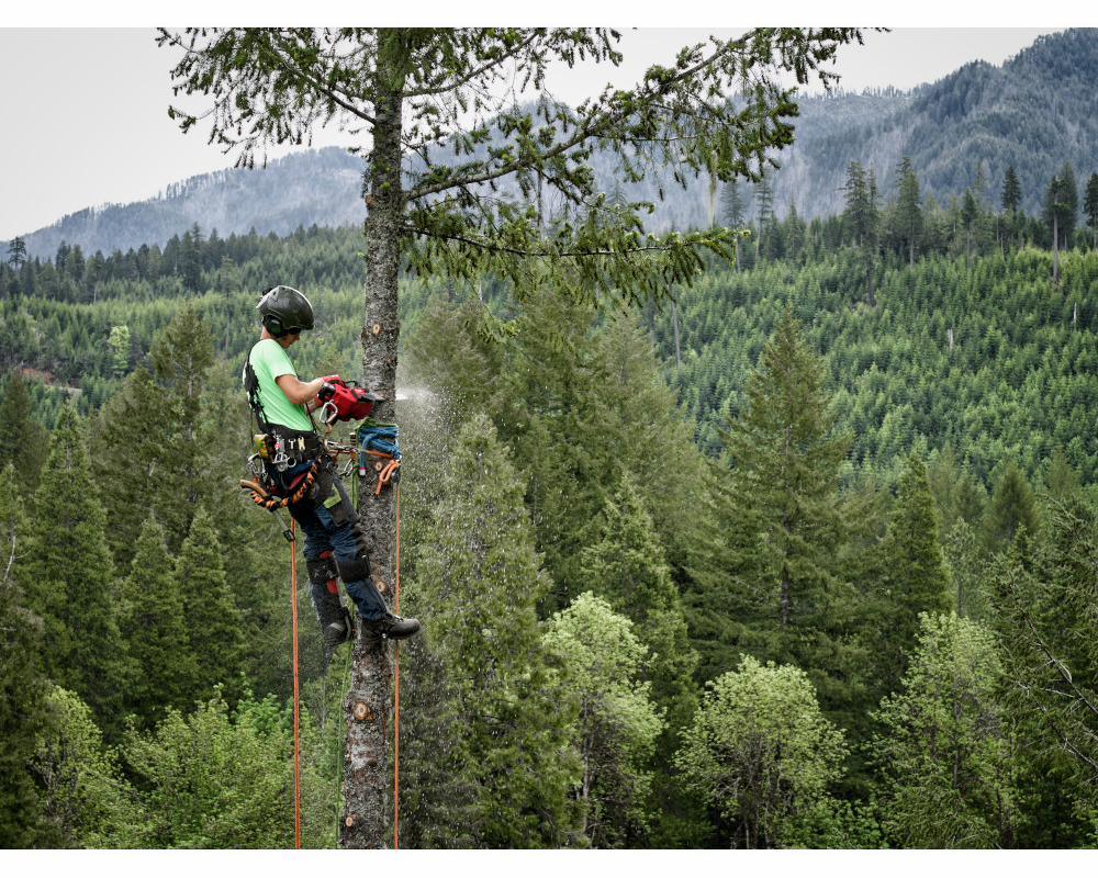 Gallery Image 2 - 4515847