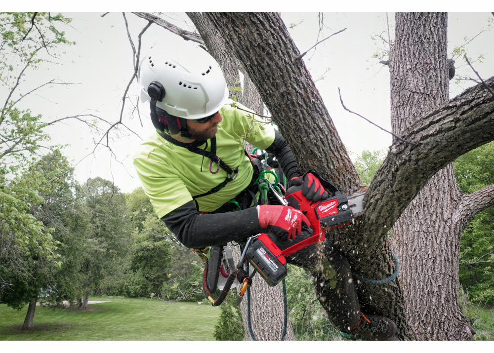 Gallery Image 9 - 4520349