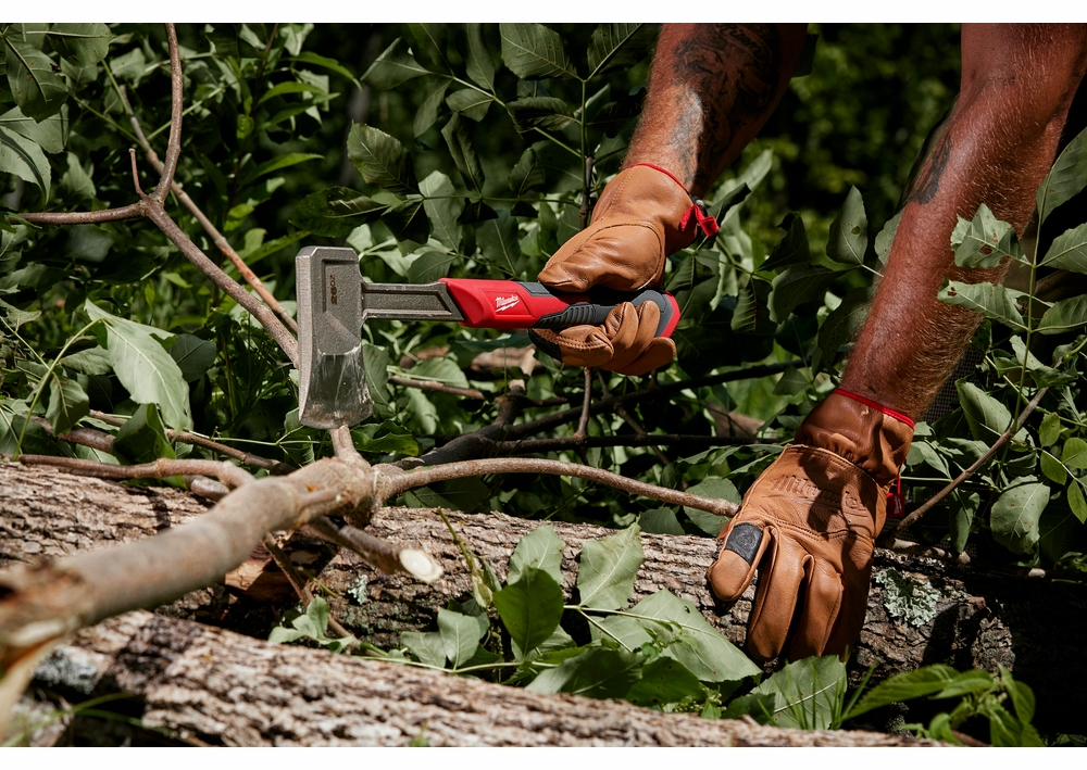 Gallery Image 8 - 4526988