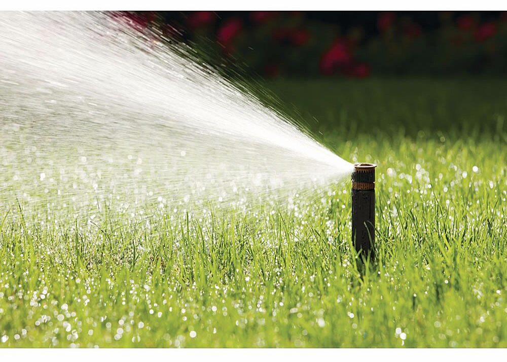 Gallery Image 5 - 4621555