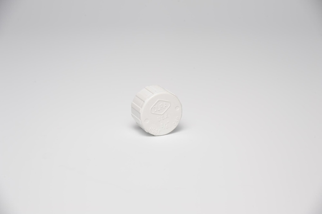 3/4FHT PVC CAP WF WASHER AP-100