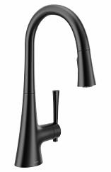 Kurv Kitchen Faucet with Pulldown Spray