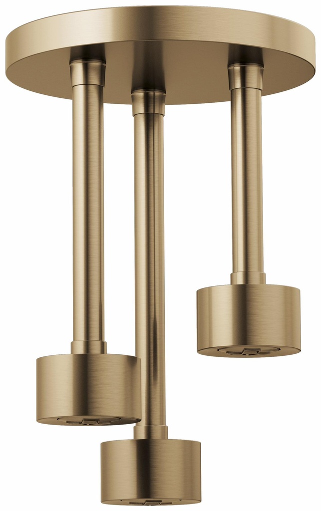 Litze Ceiling Mount Pendant Raincan Shower Head