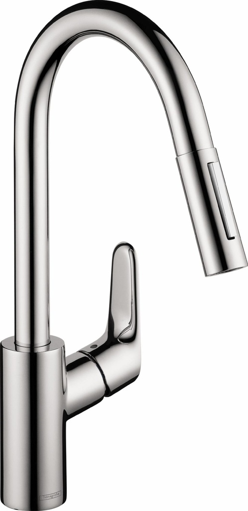 Focus Kitchen Faucet with Pulldown Spray