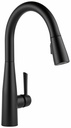 Essa Kitchen Faucet with Pulldown Spray