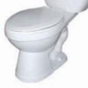 Chasm Elongated Toilet Bowl