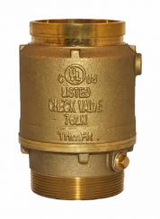 2-1/2 GRV CHECK VALVE 09-566-00