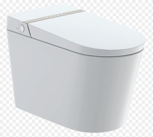 Intelligent 1-Piece Dual Flush Elongated Bidet Toilet