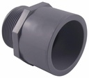 2" CPVC SCH80 MALE ADPT SOCxMPT CORZAN