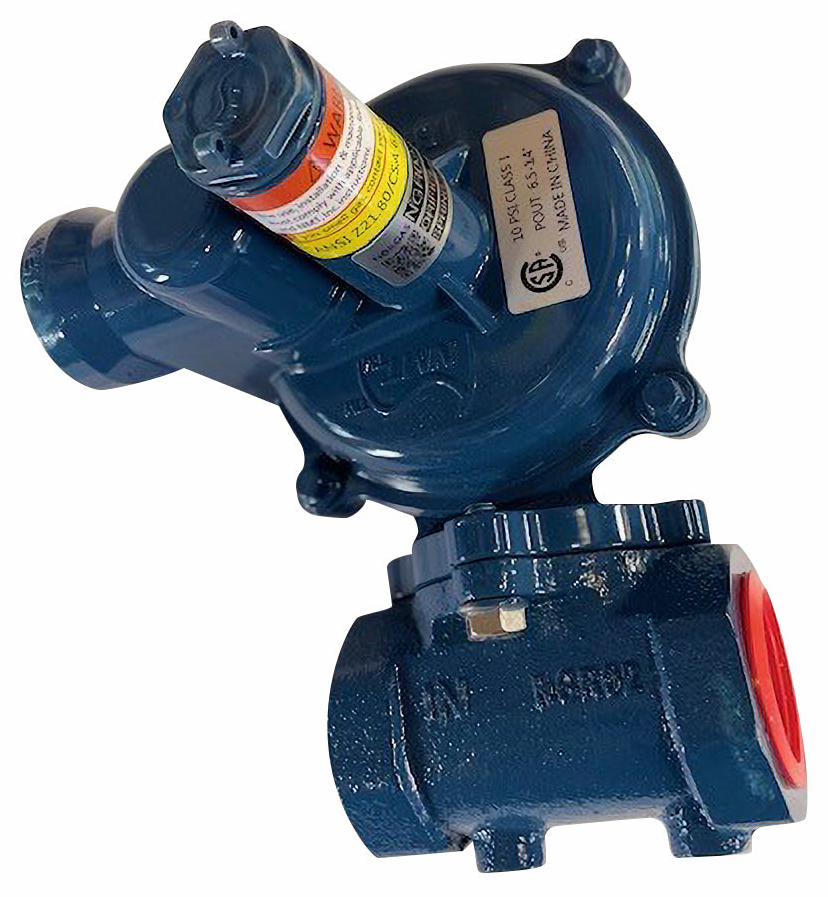 NGR02 1/2" NPT REG 1"VENT