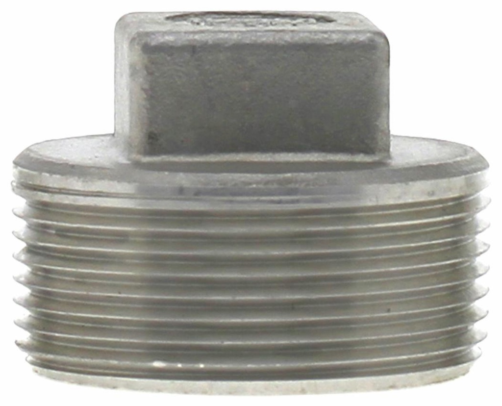 SS304P-15 - '1-1/2"304SS Cored Plug Iso4144'