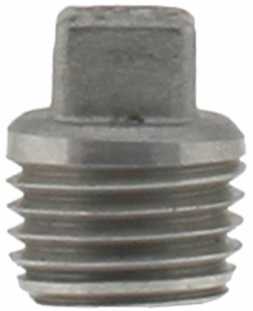 SS316P-02 - '1/4" 316SS Cored Plug Iso4144'