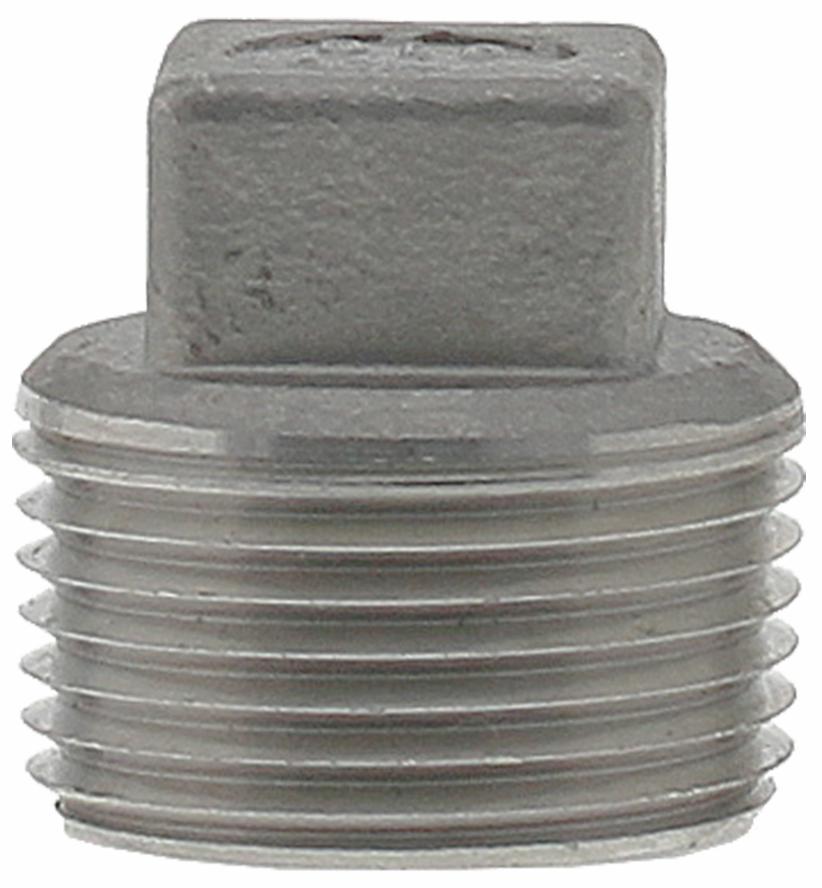 SS316P-07 - '3/4" 316SS Cored Plug Iso4144'