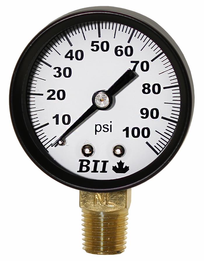 PG-100NL - 'No Lead 2"Dry 1/4" Lm 0-100'