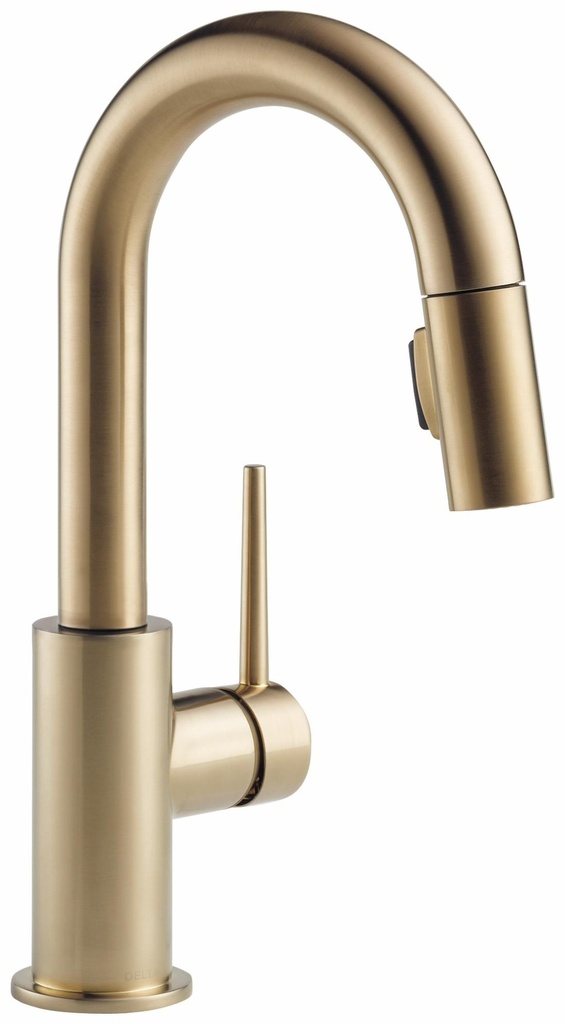 Trinsic Bar Faucet with Pulldown Spray