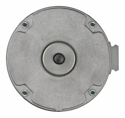 Motor - PerfectSpeed - 1/3 hp