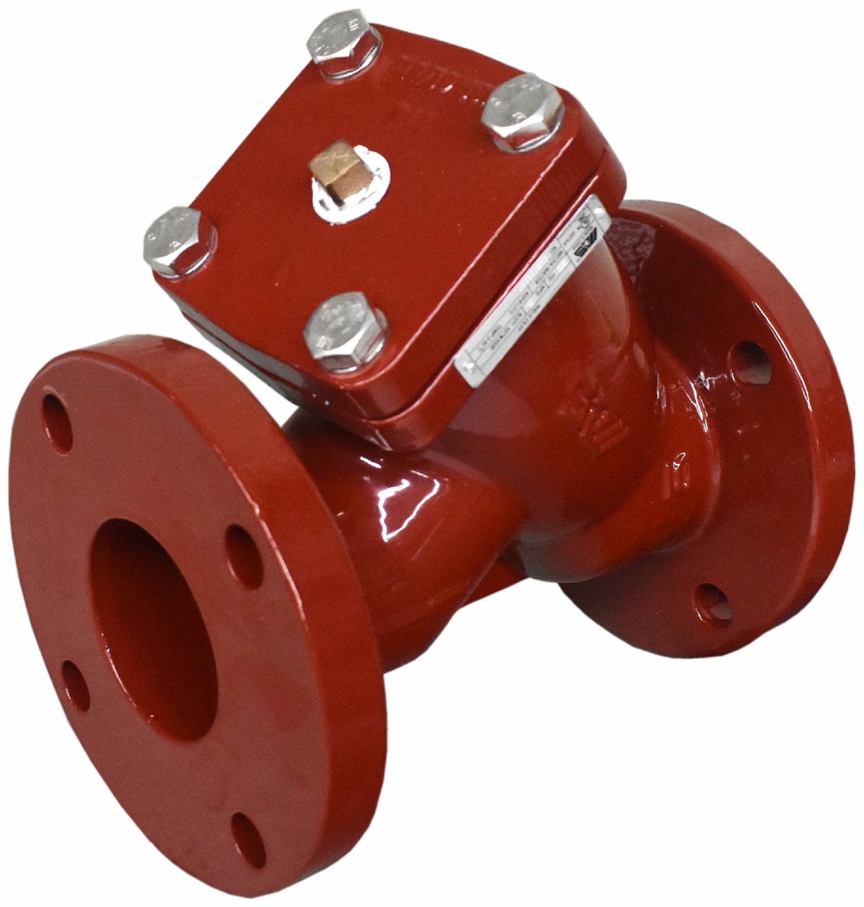 079-40020 MAS W40-A-YX-FF 6 300PSI DI FLG Y-STRAINER