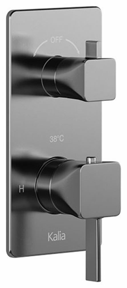 SquareOne 2-Way Thermostatic Valve with Integrated Diverter and Trim