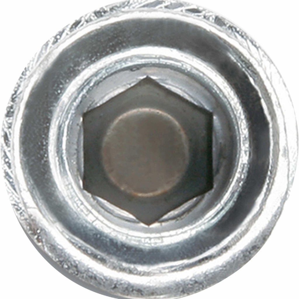 Snake+ 1/2" Internal Thread