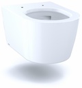 RP D-Shape Wall Mount Toilet Bowl (Seat Sold Separately)