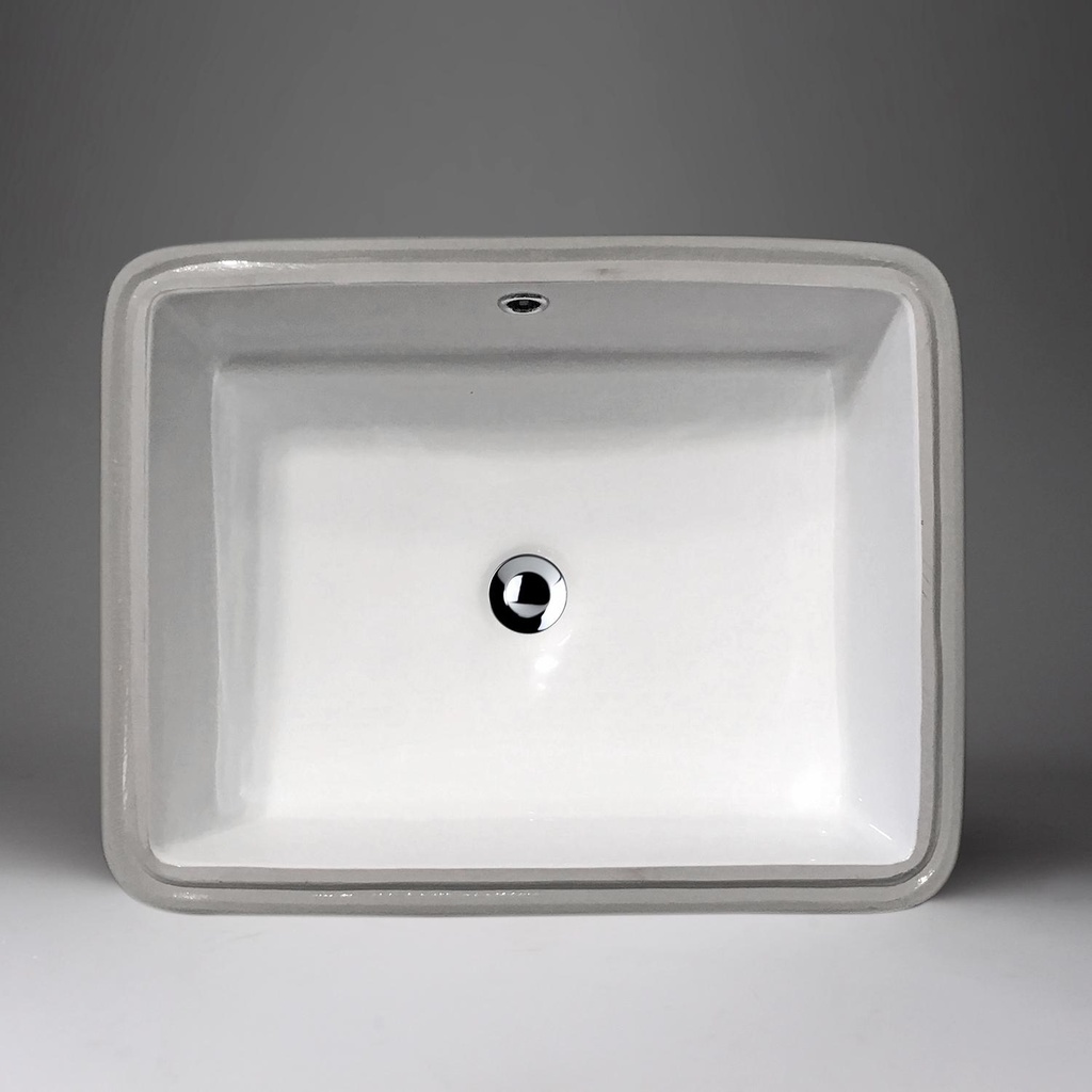 Angular Undermount Rectangular Sink