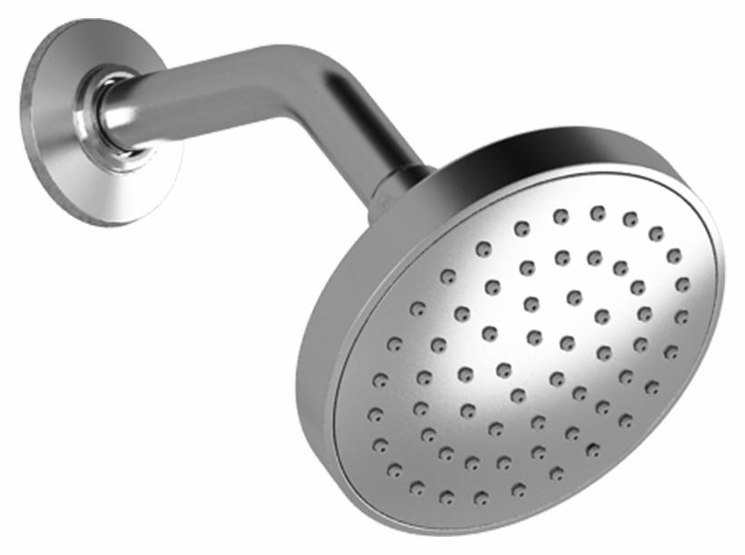 Cite Shower Head and Wall Arm