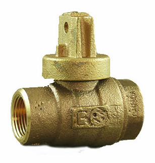 N/L F/PORT B/V CURB - 1 1/4" FIP x 1 1/4" FIP