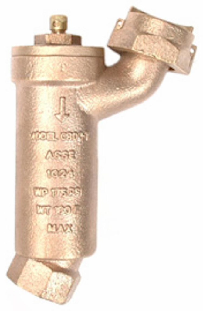 N/L DUAL CHK/V ACCESSIBLE - 3/4" MTR SWL NUT x 3/4" FIP