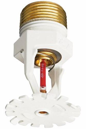 3/4" Standard Response ECOH K14 155F Pendent Brass Sprinkler FireLock V3421