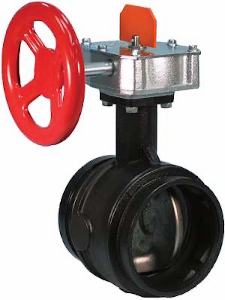 6" Butterfly Valve Supervised Closed FireLock 707C