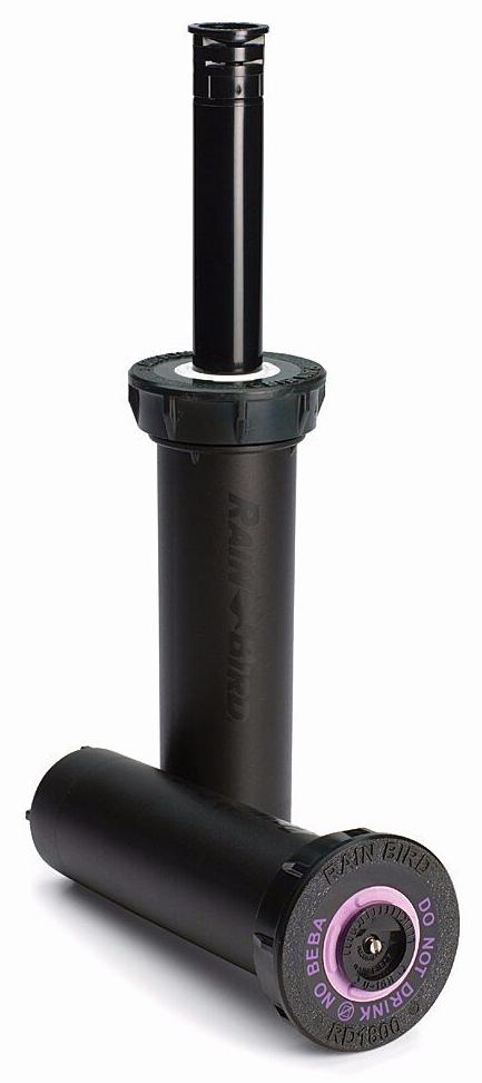 RD-04 SAM PRS 30 PSI SPRAY HEAD WITH FLOW SHIELD