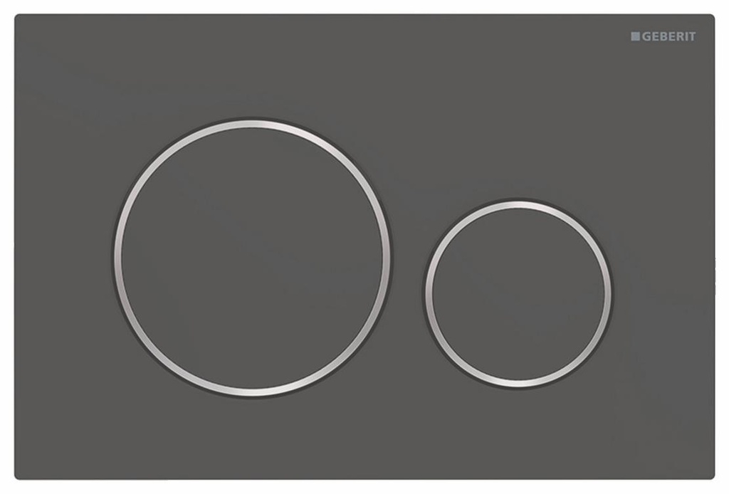 Sigma20 Dual Flush Actuator Plate