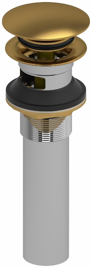 Push Drain with Overflow