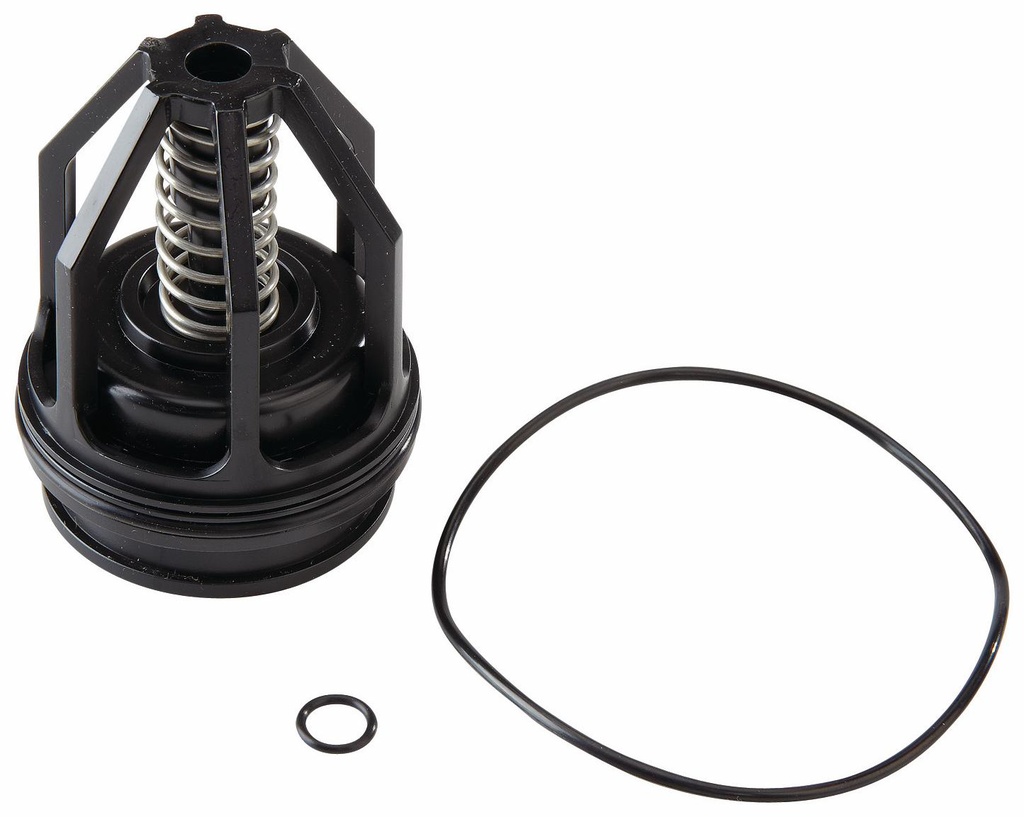 1-1/4 and 1-1/2 In RK 009M2-CK2 1 1/4-1 1/2 Second Check Kit