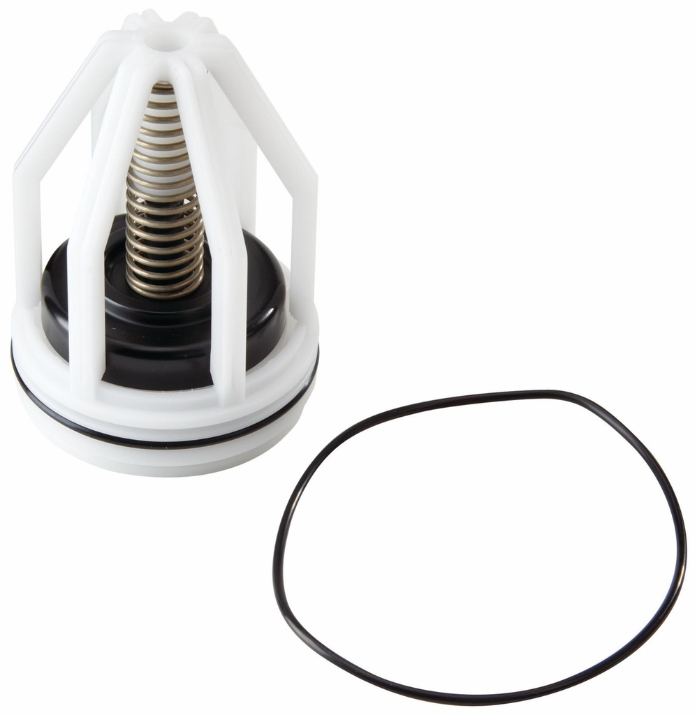 1-1/2 And 2 In RK 007M1-CK2 1 1/2-2 Second Check Kit