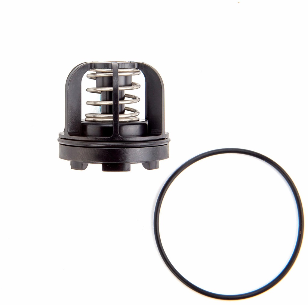 3/4 In RK 009M3-CK1 3/4 First Check Kit