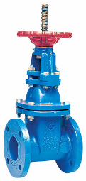 21/2 408 OS&Y-RW-CFLANGED GATE VALVE