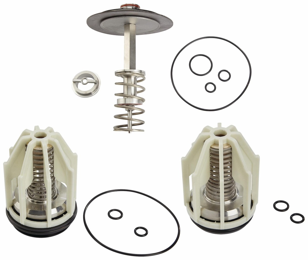 2-1/2 And 3 In LFRK 009-T 2 1/2-3 Total Valve Repair Kit