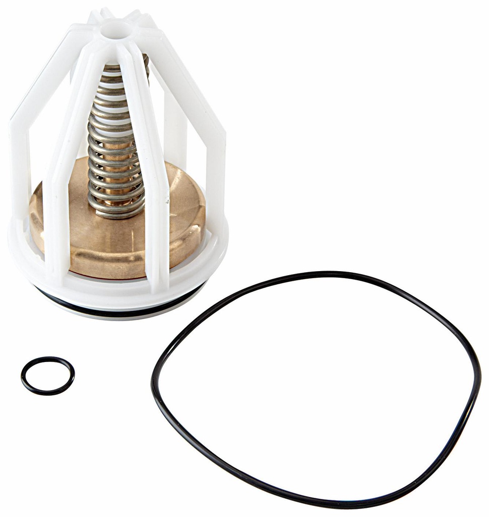 1-1/4 to 2 In RK 009-CK1 1 1/4-2 First Check Kit