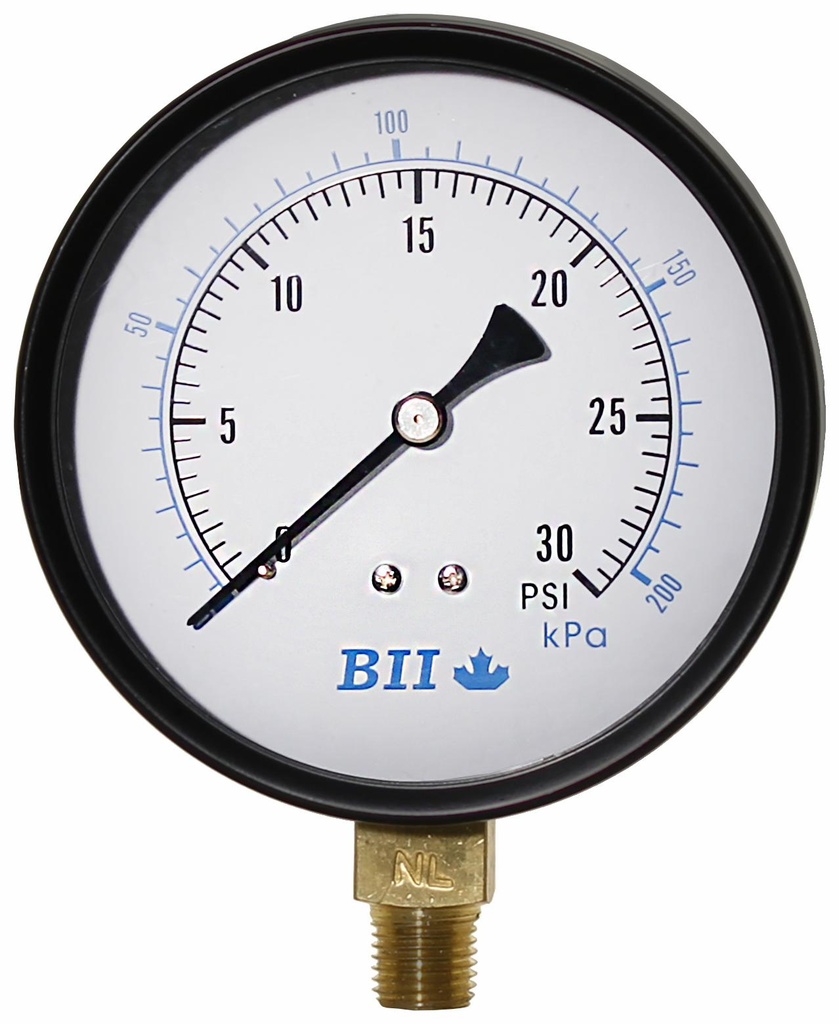 PG40-30NL - 'No Lead 4"Dry 1/4"Lm 0-30'