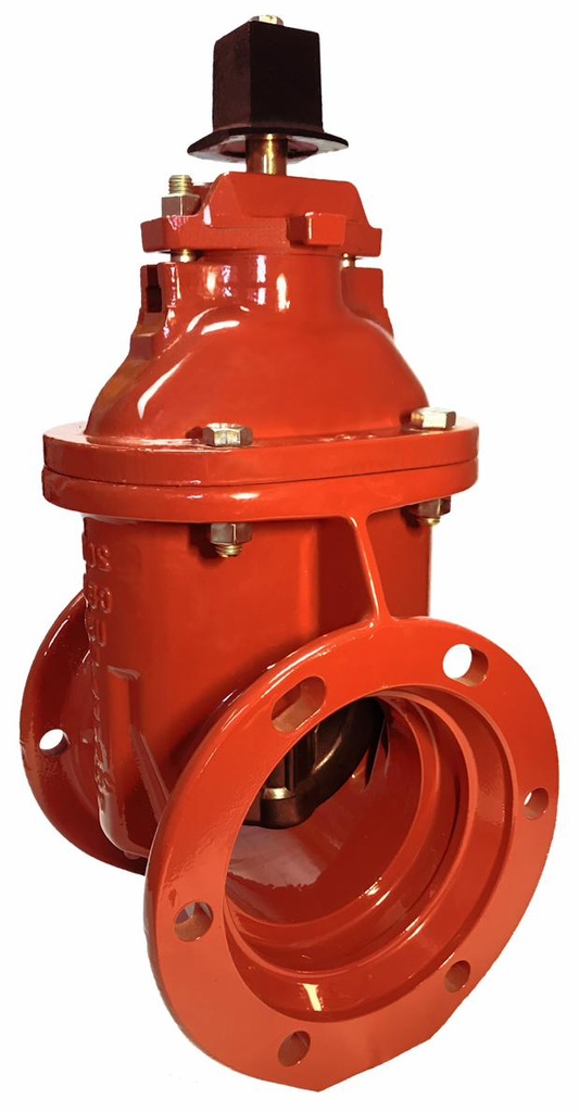 2 IP CLOW GATE VALV. 2 LEFT HAND F6103