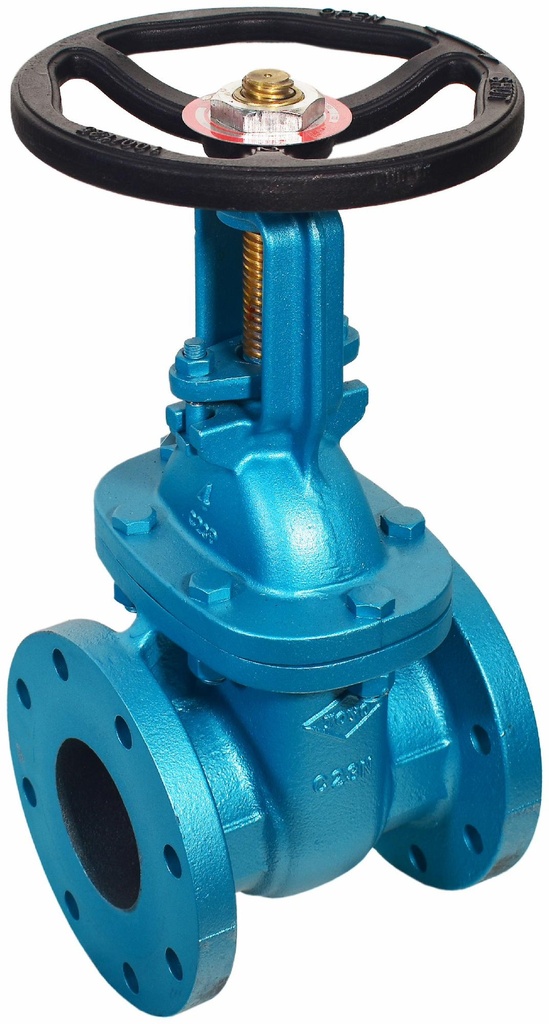 2-1/2 FLG R+W GATE VALVE 421JA