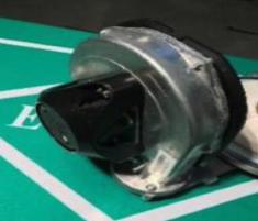 [1091100] Fan (All Sizes)