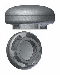 [2063023] 2 MUSHROOM CAP OIL