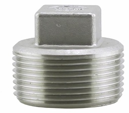 [7119987] SS304P-12 - '1-1/4"304SS Cored Plug Iso4144'
