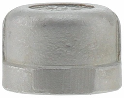 [7110745] SS316CA-07 - '3/4" 316SS Cap Iso4144'
