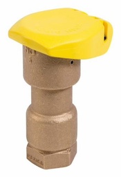 [4622955] 1" Quick Coupling Valve 1-Piece Body